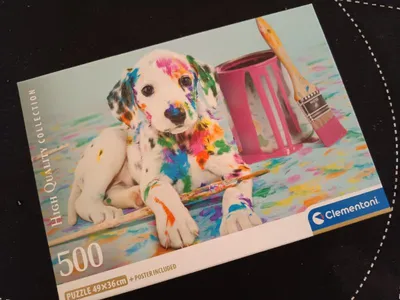The Funny Dalmatian — Photo 3