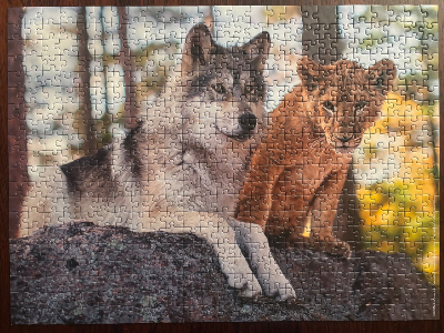 Le loup et le lion — photo 1