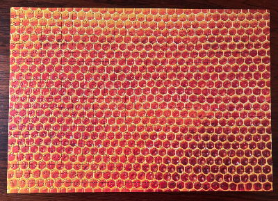 Meister Puzzle 2 - Nid d'abeilles · photo 2