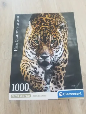 Jaguar, photo 2
