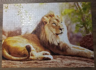 Le roi de la savane