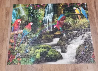 Parrot's Paradise