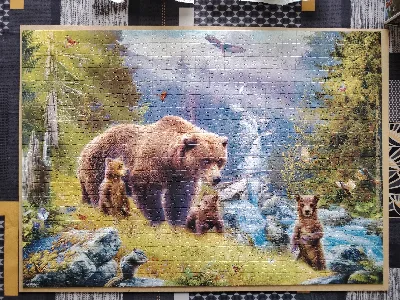 Grizzly Cubs — photo 1