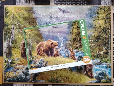 Grizzly Cubs — photo 2