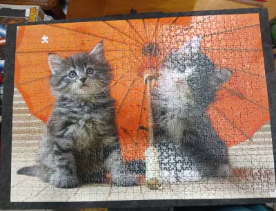 Chatons sous ombrelle, photo 2