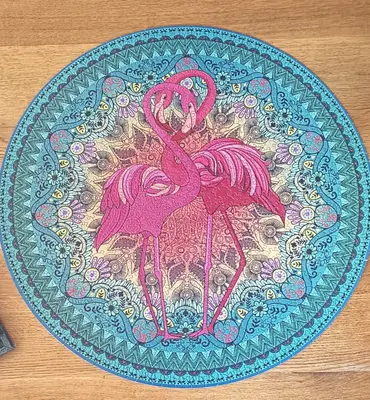 Flamands roses