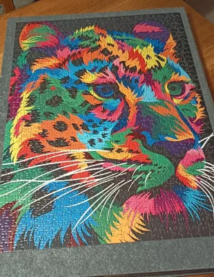 Leopard multicolor · photo 1