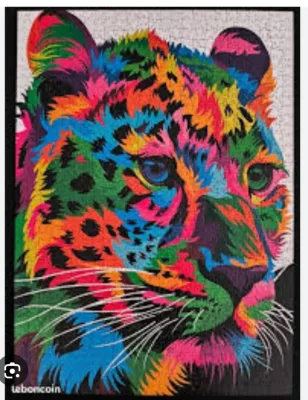 Leopard multicolor · photo 3