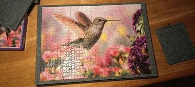 Kolibri · photo 1