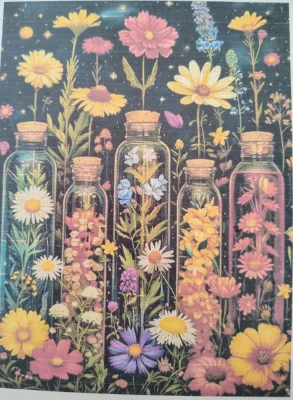 Sans nBouteilles en Verre Florales avec Marguerites, Cosmos et Fleurs Sauvagesom — photo 1