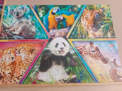 Animal Kingdom — photo 2