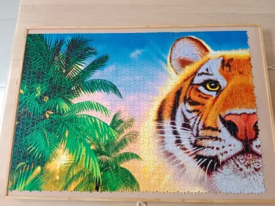 Tigre majestueux — photo 2