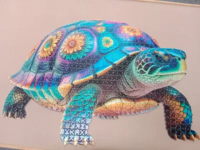 Turtle · photo 1