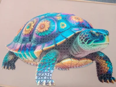 Turtle · photo 2