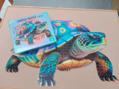 Turtle · photo 3