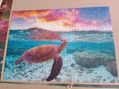 tortue · photo 2