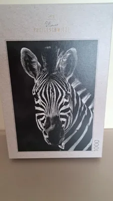 Zebre — photo 1