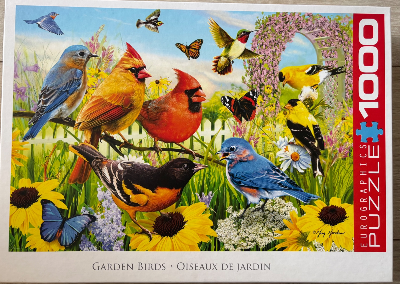 Garden Birds / oiseaux de jardin — photo 1