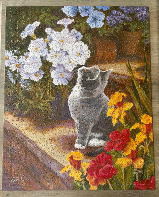 Inspecting the blooms — photo 1