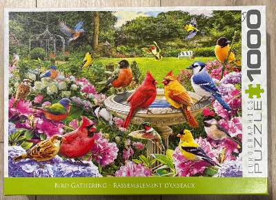 Bird Gathering - Rassemblement d’oiseaux · photo 2