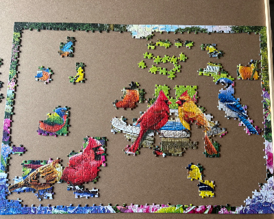 Bird Gathering - Rassemblement d’oiseaux · photo 3