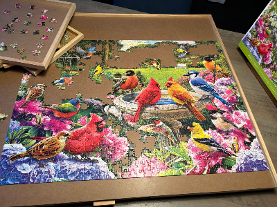 Bird Gathering - Rassemblement d’oiseaux · photo 4