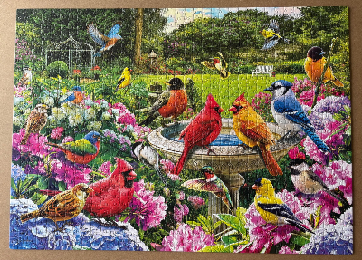 Bird Gathering - Rassemblement d’oiseaux · photo 1