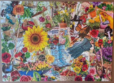 Flower Seeds - Graines des Fleurs · photo 1