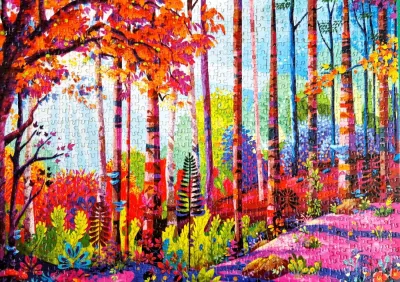 Au cœur de la forêt · photo 1