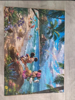 Mickey and Minnie in Hawaii — Photo 2