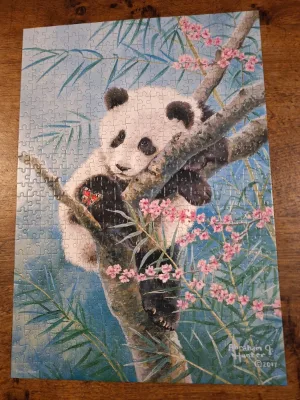 Bamboo Dreams · photo 1