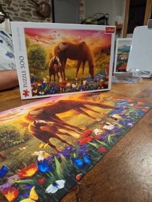 Chevaux dans le pré · photo 2
