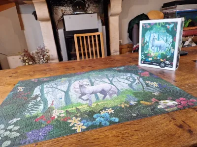 Forêt enchantée · photo 2