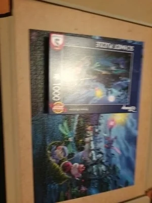 Disney - The Rescuers, photo 2