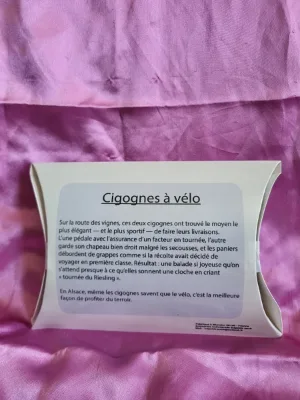 Cigognes à Vélo — Photo 2