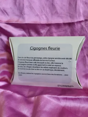 Cigogne Fleurie — Photo 2