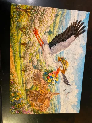 Cigogne Fleurie — Photo 3