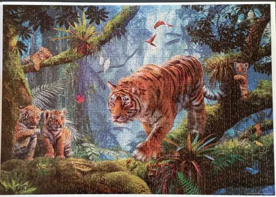Tigers in the tree — photo 1