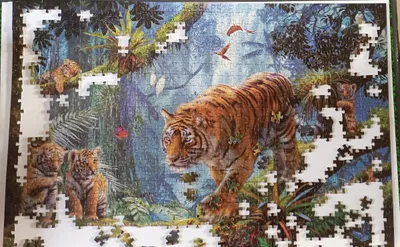 Tigers in the tree — photo 3