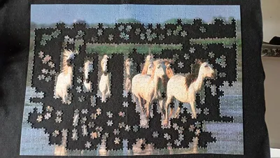Cantering in the Camargue — photo 3