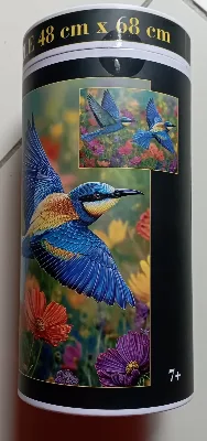Colibris bleu — photo 2
