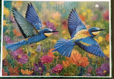 Colibris bleu — photo 1