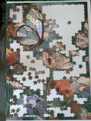 Papillon et fleurs — photo 3