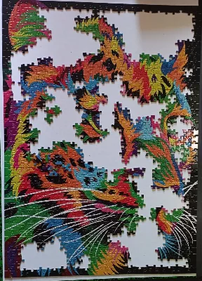 Leopard multicolor · photo 2