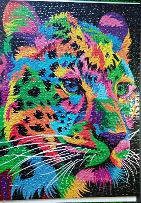 Leopard multicolor · photo 1