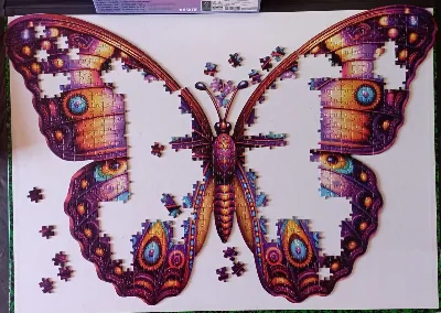 Butterfly · photo 2