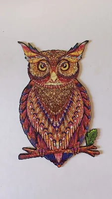 Mysterious Owl · photo 1
