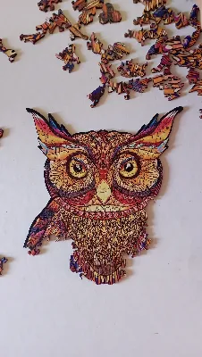 Mysterious Owl · photo 4