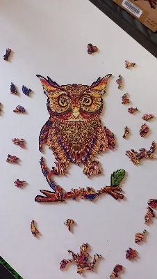 Mysterious Owl · photo 5