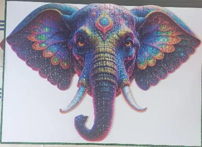 Elephant · photo 1